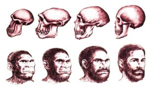 Почему нарушение звукопроизношения — эпидемия современного времени?